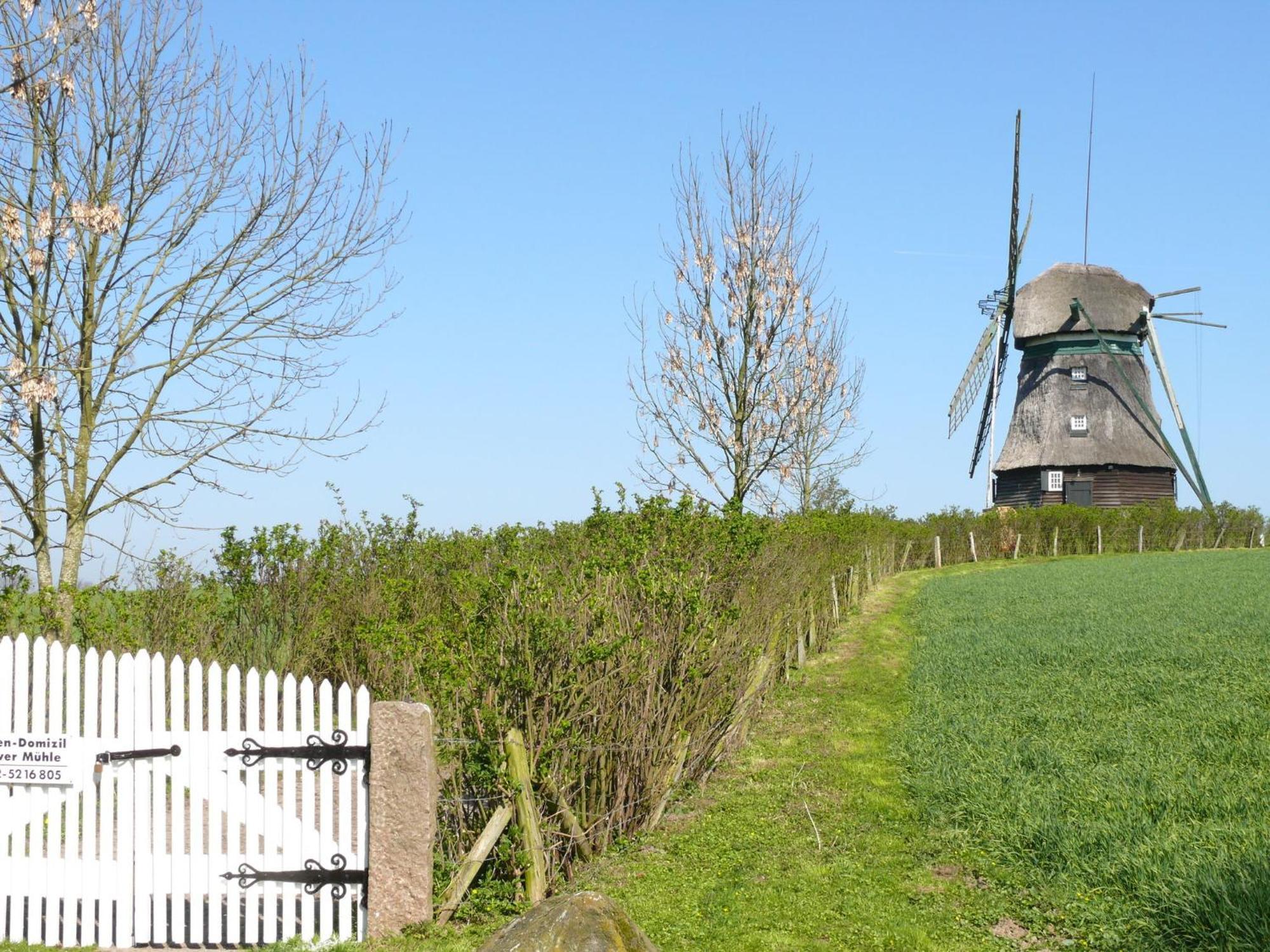 Beautiful Authentic Mill Close To The Beach Wangels Zewnętrze zdjęcie
