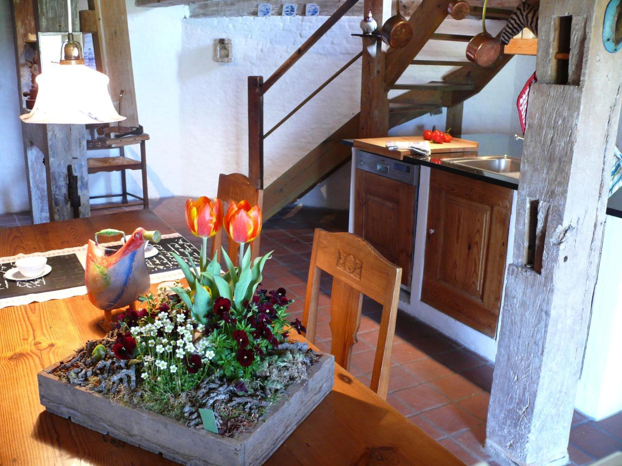 Beautiful Authentic Mill Close To The Beach Wangels Zewnętrze zdjęcie