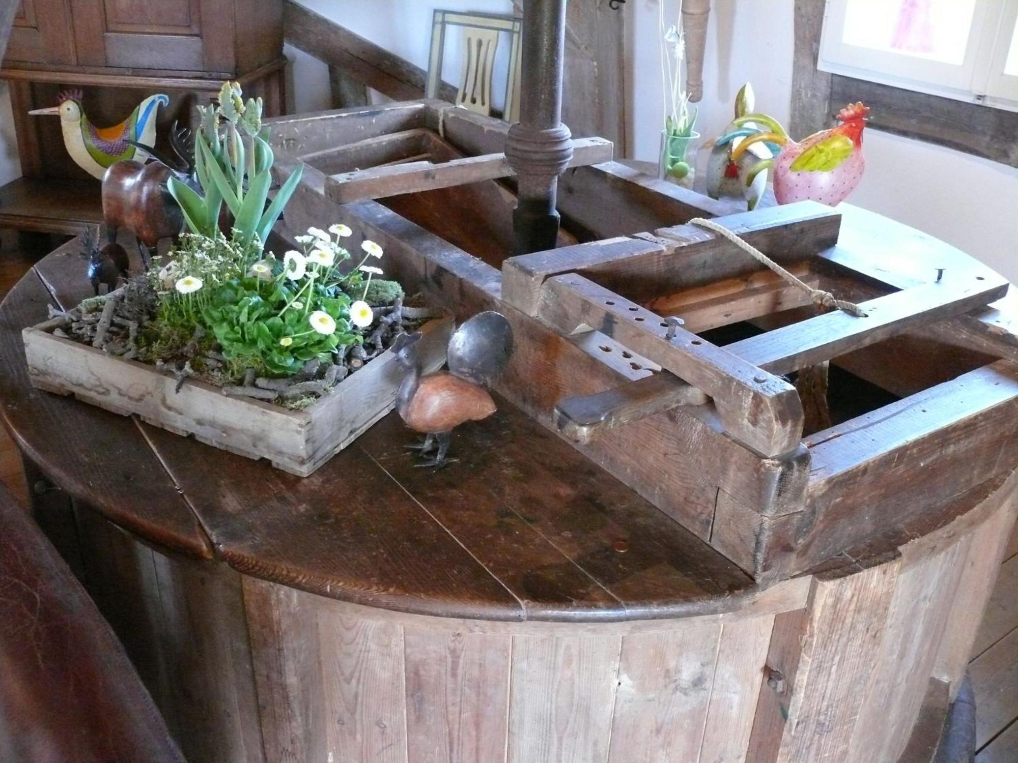 Beautiful Authentic Mill Close To The Beach Wangels Zewnętrze zdjęcie